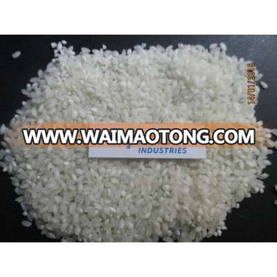 short grain round rice